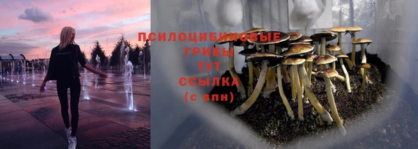 бошки Переславль-Залесский