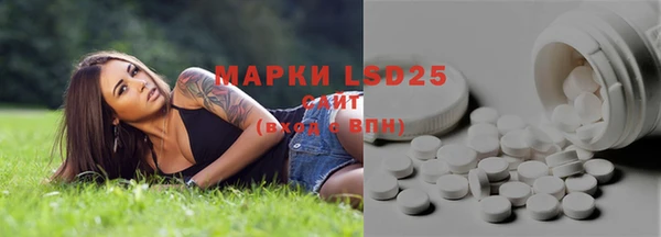 Альфа ПВП Пересвет