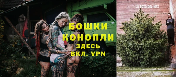 Альфа ПВП Пересвет