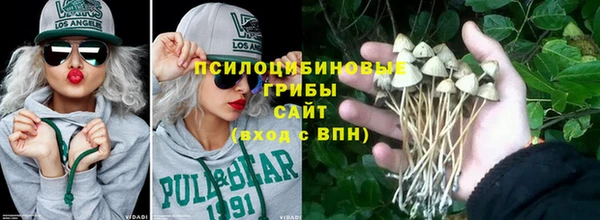 эйфоретик Покачи