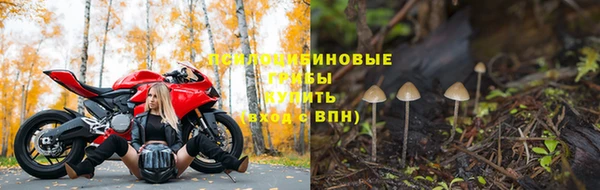 эйфоретик Покачи