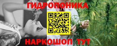 стаф Донской