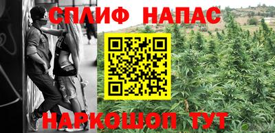 МДПВ Дубна