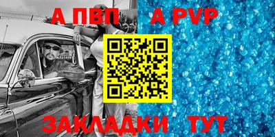 стаф Донской