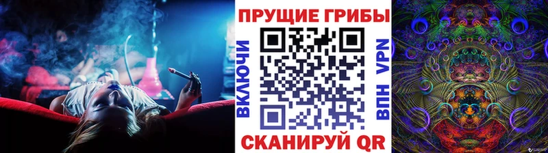 darknet Telegram  Кувандык  Галлюциногенные грибы Magic Shrooms 