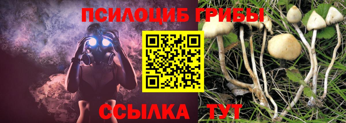 Галлюциногенные грибы прущие грибы  Вход с VPN  Кувандык  Галлюциногенные грибы ЛСД 